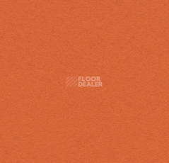 Линолеум Forbo Marmoleum Bulletin Board 2211 tangerine zest фото 1 | FLOORDEALER